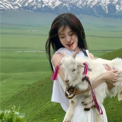 少年包拯之双鱼诡事 海报